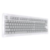 117 Keys Keycaps OEM Height Two Colors Injection Fastness OPQ