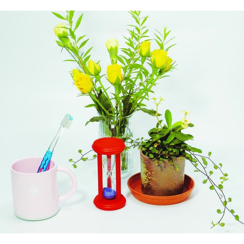 シンワ測定(Shinwa Sokutei) 砂時計 5分計 70552