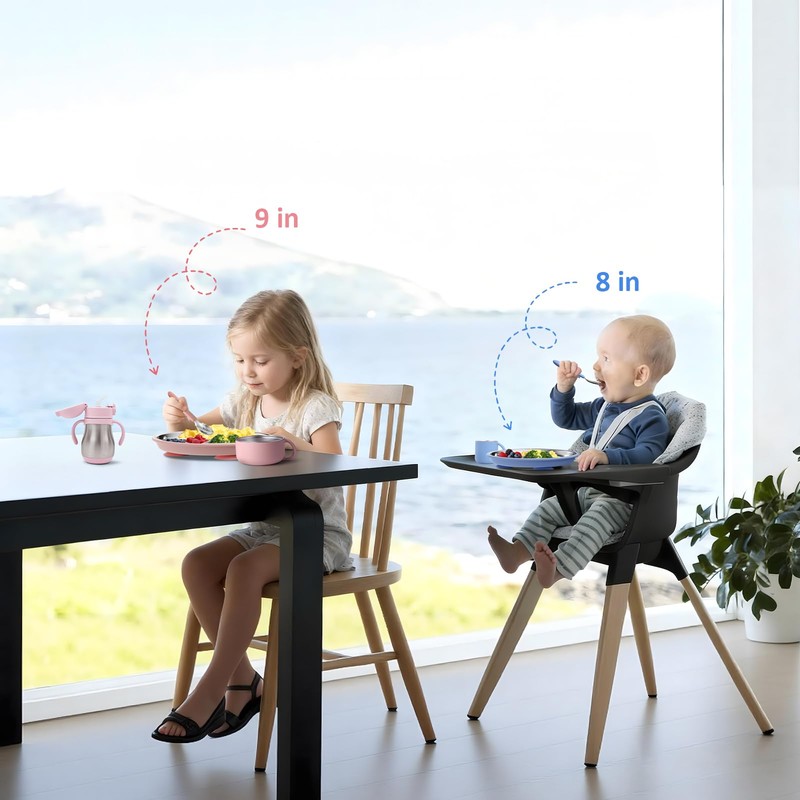 Bakpoco Stainless Steel Baby Plate with Suction, 9” Divided Toddler