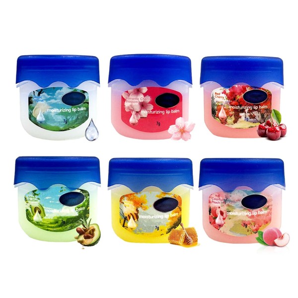 Hydrating Lip Balm Set, 6 Stück Feuchtigkeitsspendende Lippenpflege, Lippenmaske Set