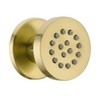 Solid Brass Body Spray Shower Jet - Round Massage Side