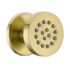 Solid Brass Body Spray Shower Jet - Round Massage Side Sprayer Spa System Shower Set Adjustable Wall Mounted, Brushed Gold Brass Finish