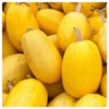 Everwilde Farms - 1/4 Lb Organic Vegetable Spaghetti Winter Squash