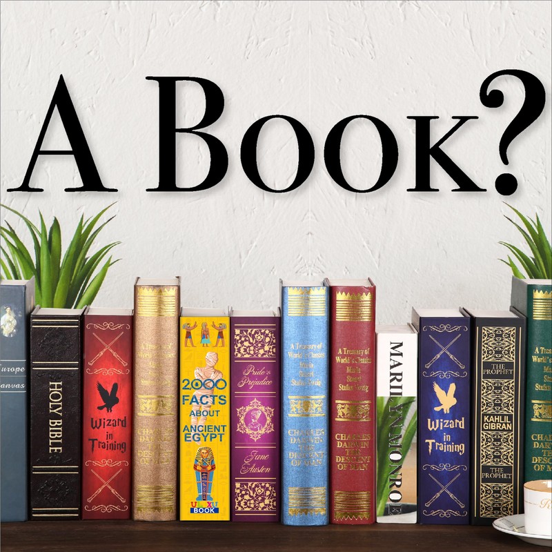 Deversion Book Safe Storage Box with Real Pages Combination Lock