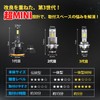 Perrace D2S LED Headlight with Pong Mount, Explosive Light, 24,000