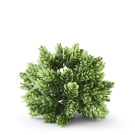 K&K Interiors 6 Inch Pineapple Grass Ball, Green