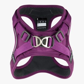 DOG Copenhagen Comfort Walk Go Dog Harness, Purple Passion (Purple), Small