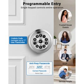 WREO Keypad Smart Door Knob Lock, Keyless Entry Door Lock with Handle - Auto Lock for Front Door - Electrionic Code Door Lock for Bedrooms, Home Office, Garage, Apartment - Easy Installation, Silver