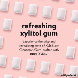 XyloBurst Gum | Xylitol Chewing Gum | Sugar Free, Gluten Free, Keto Friendly | Aspartame Free Gum | Cinnamon | 500-Count Bag