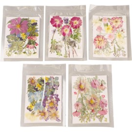 Flores Prensadas, Estilos Surtidos, 100 Piezas, Flores Secas Coloridas para Moldes de Bricolaje, Arte de Uñas, Manualidades de Resina, Invitaciones de Boda, para Varias (Tipo 2)