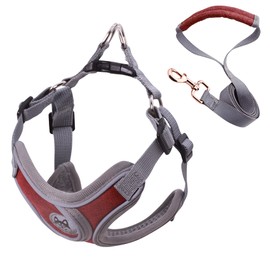 Wocharm Dogs Breathable Harness with Leash Adjustable Outdoor Walking Pet Puppy Vest （XS,Dark Red）