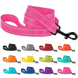 CollarDirect Nylon Dog Leash 1.5M Daily Walking Running Training Durable Reflective Leash for Large Medium Small Dogs