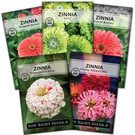 Sow Right Seeds - Rare Zinnia Flower Seeds for Planting - 5 Packets Includes Envy, Cactus Flower Mix, Peppermint Stick, Salmon Queen & Coral Beauty - Plant Your Flower Garden - Non-GMO Heirloom Seeds
