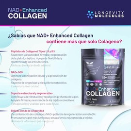ETERNAL NUTRITION Pptidos de Colgeno Hidrolizado Bovino Reforzado con NAD  Colgeno Tipos I, II y III (500 g  50 Porciones)  con Precursores NAD  Piel 