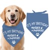 arricraft 1 Pc Birthday Theme Dog Bandana, 78x39cm(30.7x15.35 inch) It's
