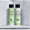J.R. Watkins Daily Hydration Shampoo, Aloe & Green Tea -