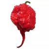 Carolina 15+ Carolina Reaper Organic Premium Seeds- Non GMO