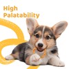 iPaw Turkey Dog Treats, All Natural Human Grade Dog Treat,