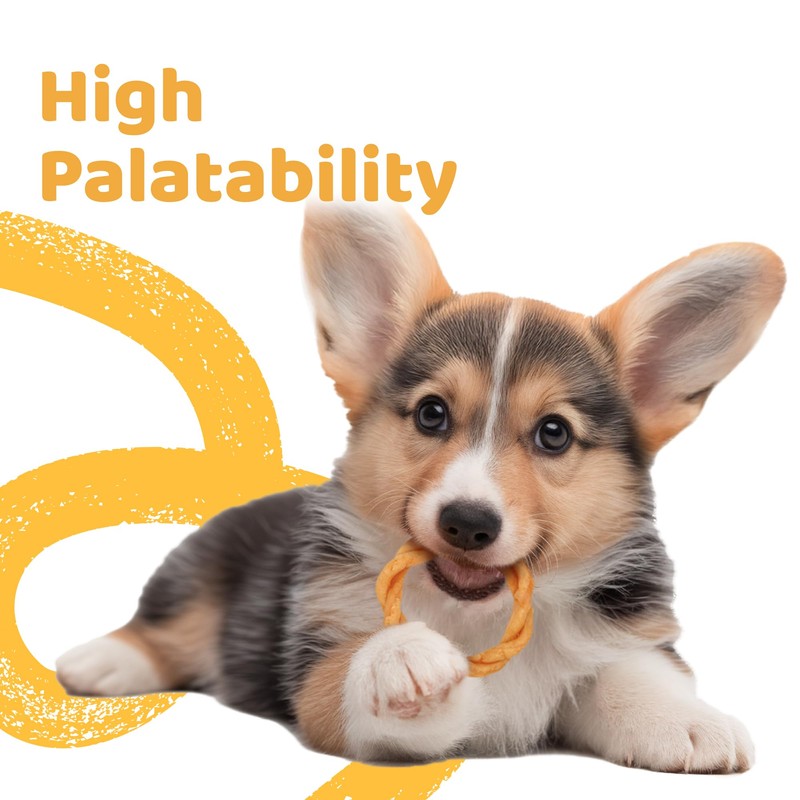 iPaw Turkey Dog Treats, All Natural Human Grade Dog Treat,