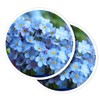 Vinyl Round Stickers (Set of 2) 10cm - Forget-Me-Not Flowers
