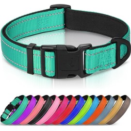 Joytale Reflective Dog Collar, Soft Neoprene Padded, Metal D-Ring, Nylon Pet Collar Adjustable for Medium Dogs, Teal, M