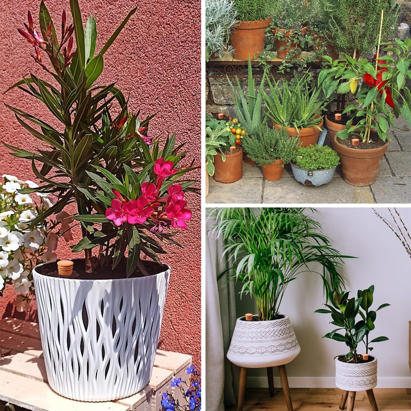 8pcs Ollas Self Watering Terracotta Planter Terra Cotta Clay Watering