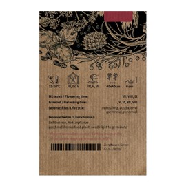 Lemon Catnip / White Balm (Nepeta Cataria ssp. citriodora) - Approx. 600 Seeds