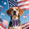 Maca Bates American Flag 4th of July Dog Collar with