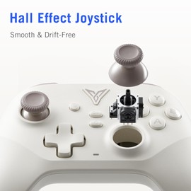 FLYDIGI DuneFox 2.4g Wireless PC Controller, Hall Effect Joysticks Triggers, Grip Vibration, Multi-Platform Gaming Controller, Windows PC/Switch/Switch2/IOS/Android/Laptop