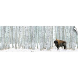CANVAS ON DEMAND Bison Standing in Snow Among Poplar Wall Decal, Wildlife Artwork