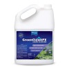 BioSafe GreenClean FX Liquid Algaecide Controls Algae 128 fl oz Bottle by BioSafe