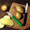 Friederich Herder Schilmes Plastic Green