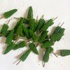 Miniature Model Trees 3.3 Inch Green Pine Trees 15Pcs for