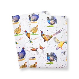 Bird gift wrap: pheasant and country bird recycled and recyclable gift wrap - 2 sheets and 2 pheasant gift tags
