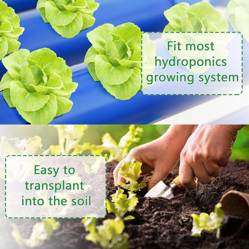 LAPOND 100 Pack Grow Sponges, Replacement Root Growth Sponges Seed