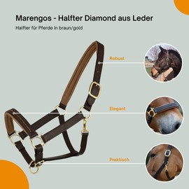 Marengos - Diamond Leather Headcollar | Halter for Horses | Horse Halter with Colour-Lined Noseband & Headpiece | Elegant Leather Halter | Horse Accessories in Brown/Gold | Warmblood