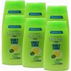 Garnier Champú Fructis Daily Care 1.7 oz (Paquete de 6)