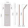 Homquen Pack of 18 Straws (Black/Copper/Gold/Multicoloured/Silver)