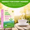 Fusion Select 100% Organic White Tea - Natural Herbal Infusion