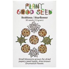 Plant Good Seed Scabiosa/Starflower Seed - Pack of 30 Heirloom Seeds for Planting Flowers, Outdoor Gardening Supplies, Wildflower, Herb, Flower Seeds to Plant - Non-GMO, Open Pollinated, from USA