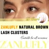Brown Lash Clusters Natural Individual Lashes Cat Eye Eyelash Clusters