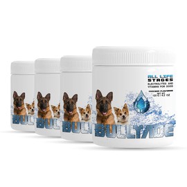 Bullyade Natural Dog Supplement with 18 Vitamins, Minerals & Electrolytes. Mixes with Water or Food. (Chicken 4 Pack)