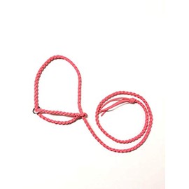adustable goat halter and lead think pink sheep halter small livestock halter