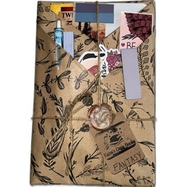 Blind Date with a Book - Bookish Gifts with 1 Book & Random Wrapping Paper Color:_Romance