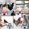 12 Inch Chicken Water Heater Base, 5 Gallons Poultry Drinker