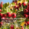 Yama Jiko Hawthorn Tea Dry Mountain Jiko Nuclear Mountain Properties