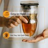 BTAT- Double Wall Glass Tea Cup With Stainless Steel Infuser,