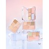 Conceal Blender Palette / 컨실 블렌더 팔레트
