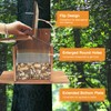 Squirrel Feeder, Wood Squirrel Feeders for Outside Winter, Wooden Chipmunk
