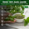 Lavendium, Premium 8oz Dried Basil – 100% Pure, Non-GMO, Gluten-Free,
